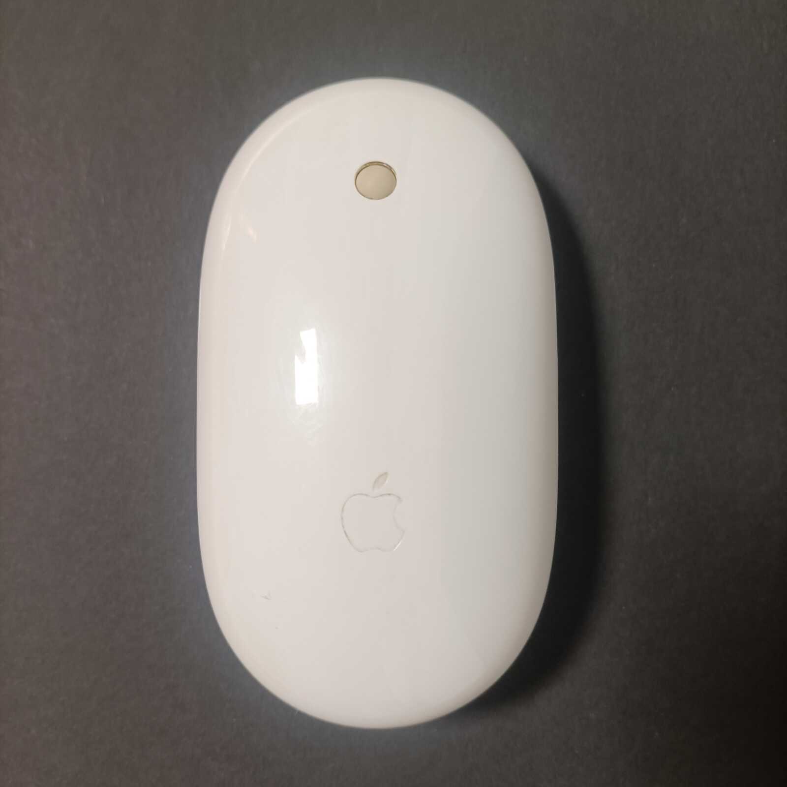Mouse Apple 2010